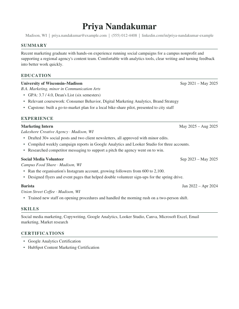 Preview of the Entry Level resume template